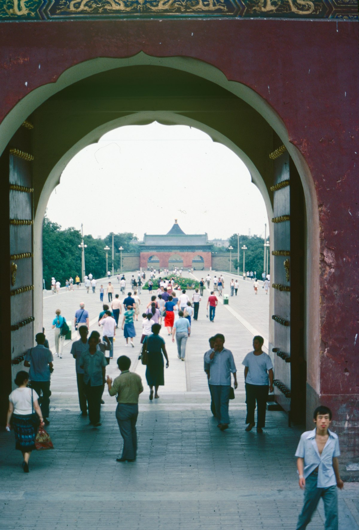 Student Visa Support